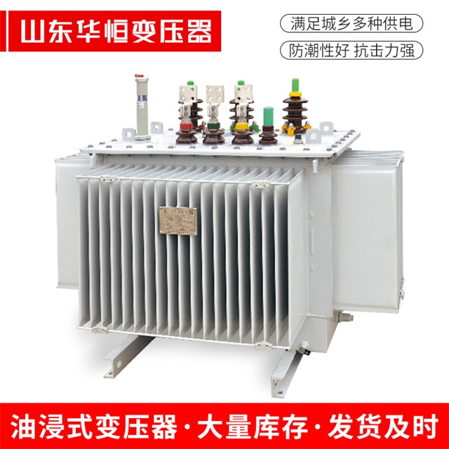 S13-10000/35广阳广阳广阳电力变压器